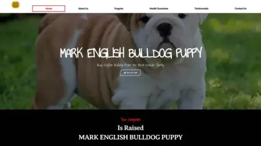 Screenshot of