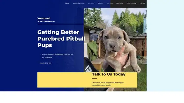 Screenshot of
