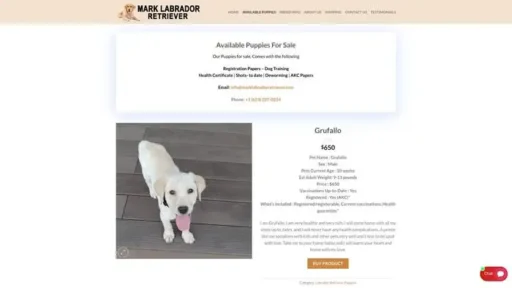 Screenshot of