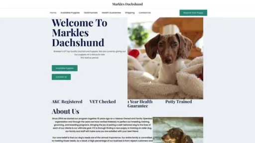 Screenshot of