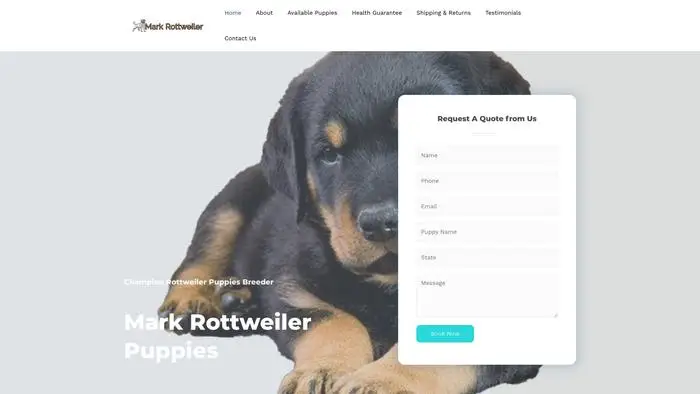Screenshot of