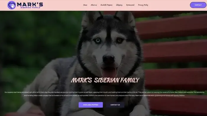 Screenshot of
