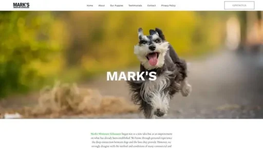 Screenshot of