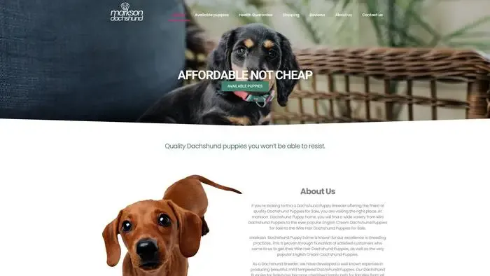 Screenshot of