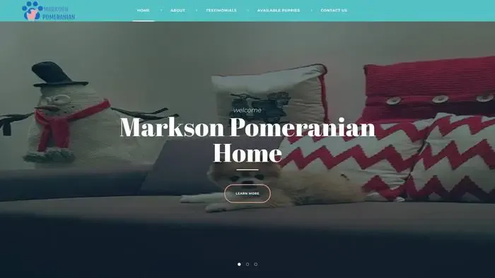 Screenshot of