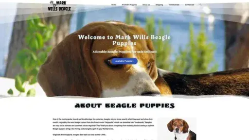 Screenshot of