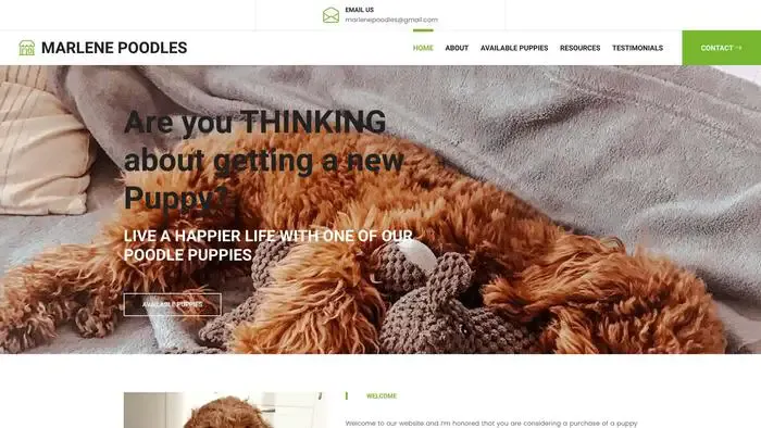 Screenshot of