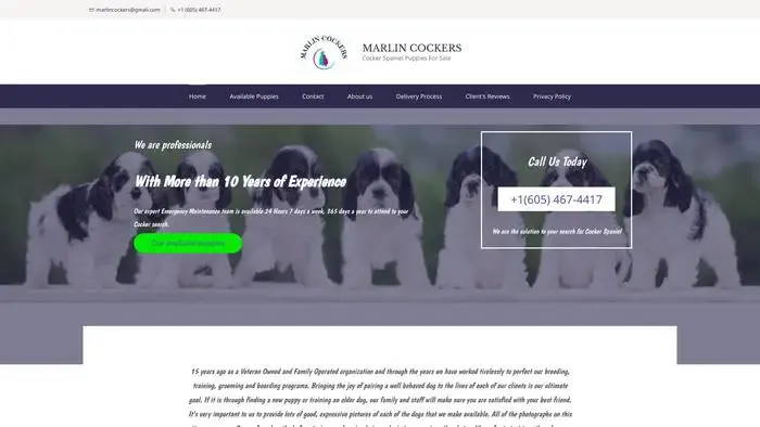 Screenshot of