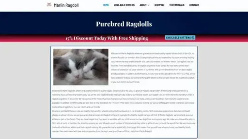 Screenshot of
