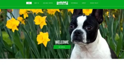 Screenshot of