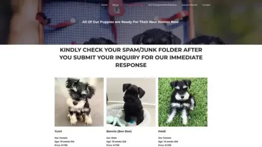Screenshot of