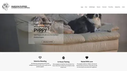 Screenshot of