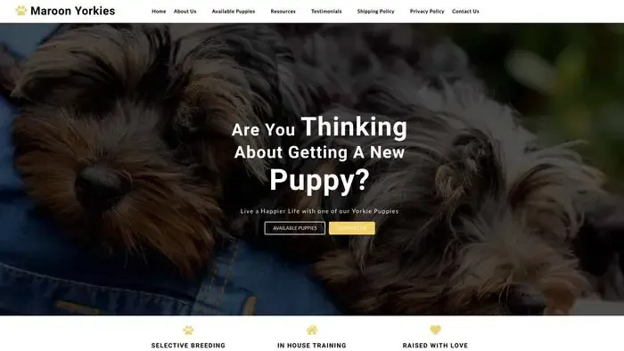 Screenshot of