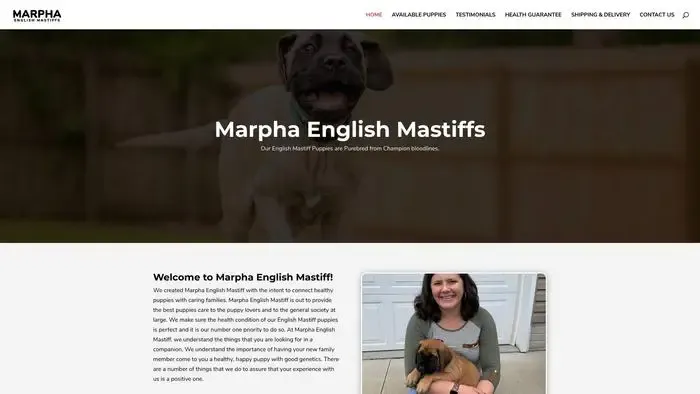 Screenshot of