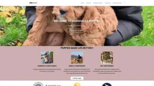 Screenshot of