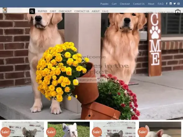 Screenshot of