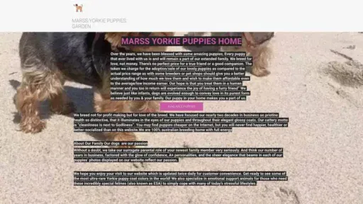 Screenshot of