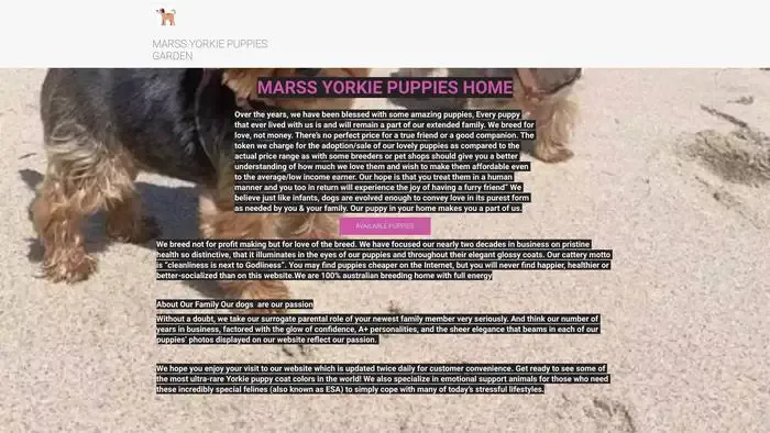 Screenshot of