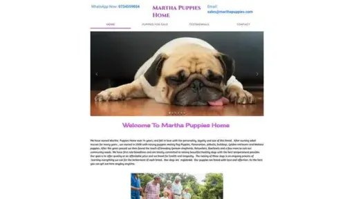 Screenshot of