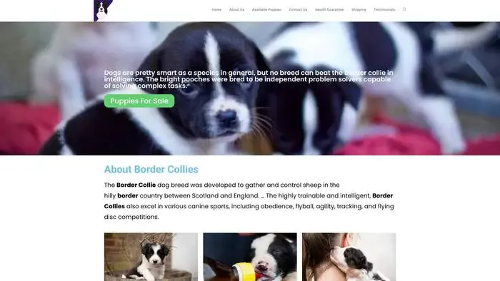 Screenshot of