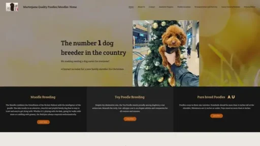 Screenshot of