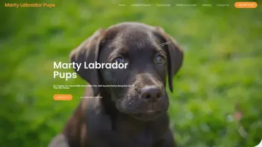 Screenshot of