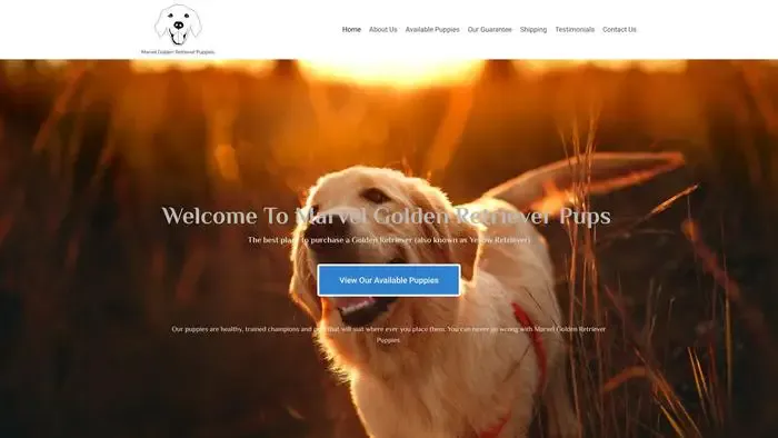 Screenshot of