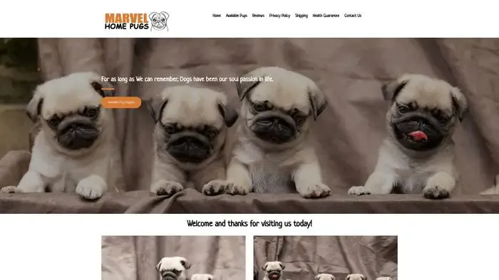 Screenshot of