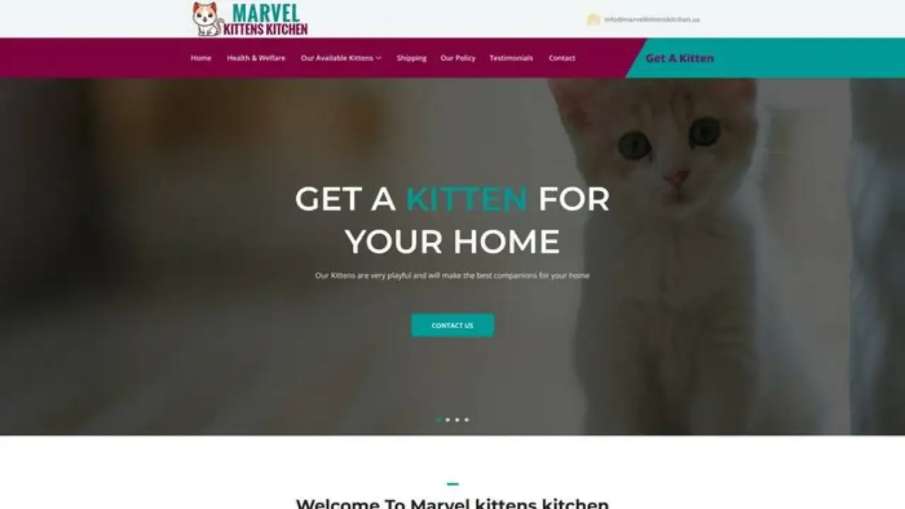 Marvelkittenskitchen