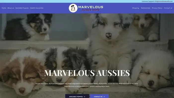 Screenshot of