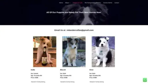 Screenshot of