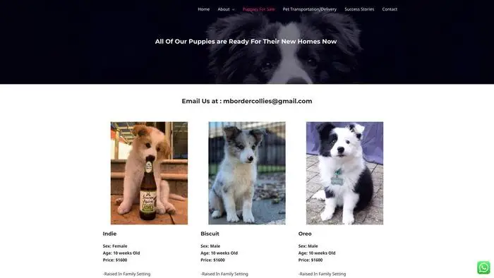 Screenshot of