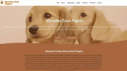 Screenshot of