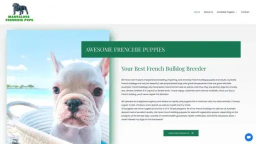 Screenshot of