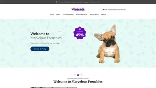 Screenshot of