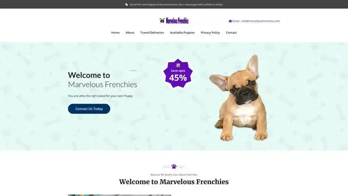 Screenshot of