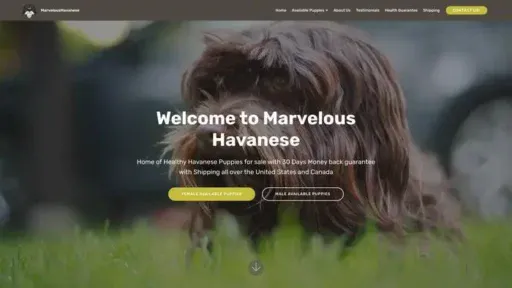 Screenshot of