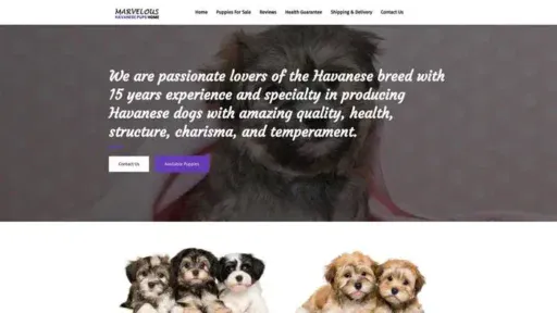 Screenshot of