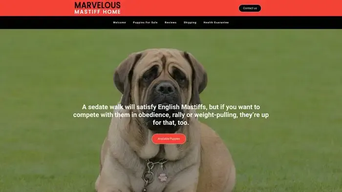 Screenshot of