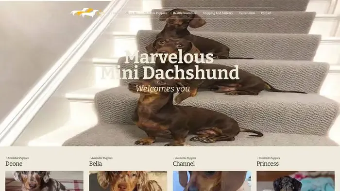 Screenshot of