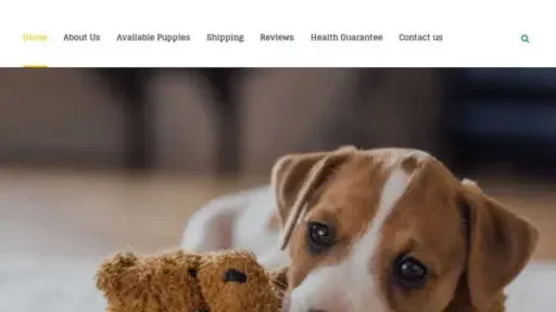 Screenshot of