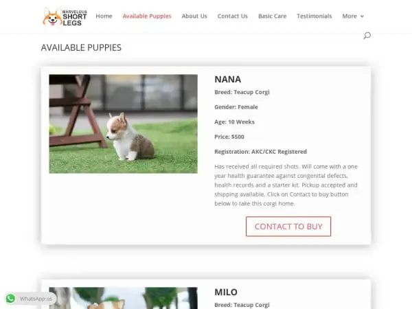 Screenshot of