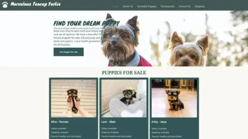 Screenshot of