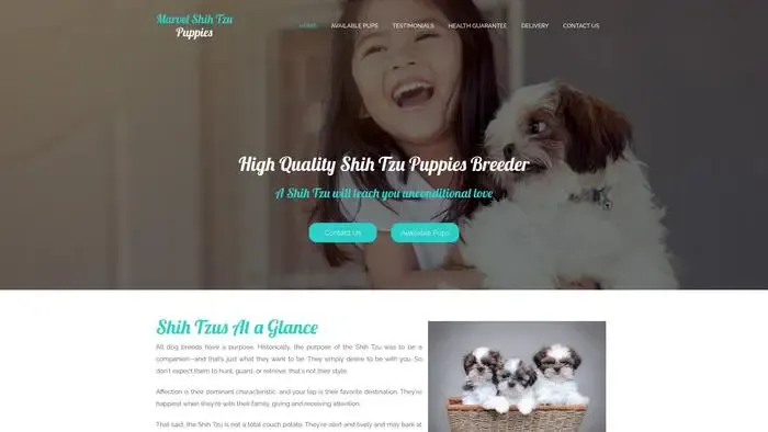 Screenshot of