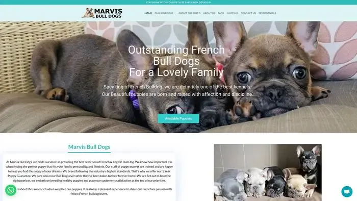 Screenshot of