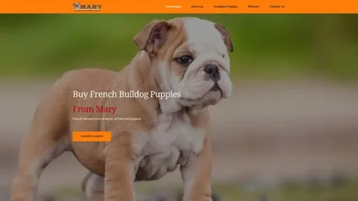 Screenshot of