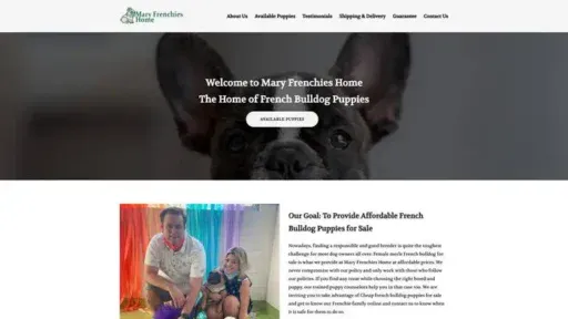Screenshot of