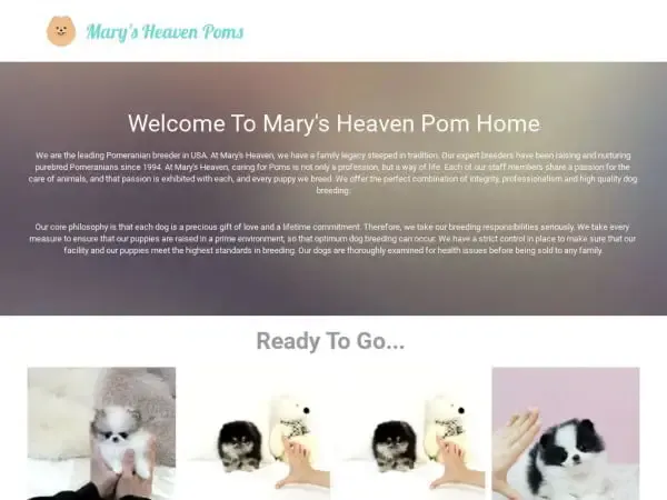 Screenshot of