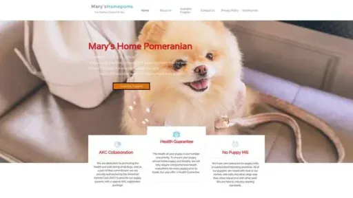 Screenshot of