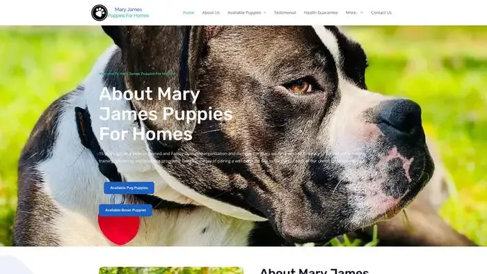 Screenshot of